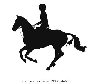 Equestrian sport. Silhouette of a rider cantering on a horse.