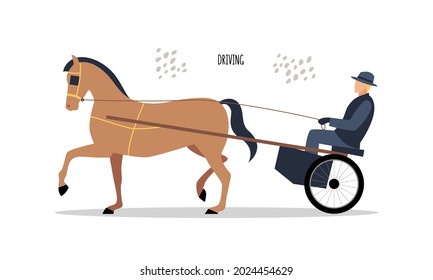 Equestrian sports. Driving. Vector flat illustration isolated on white background