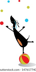 Equilibrist dog on the big ball juggles the balls illustration. Funny dachshund balances on the big ball and juggles the balls isolated on white illustration
