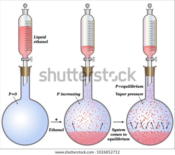 equilibrium-vapor-pressure-over-liquid-stock-vector-royalty-free