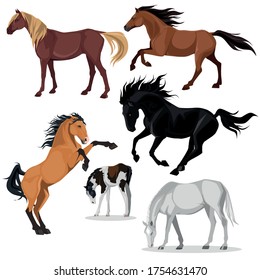 Equine coat color. Vector set horses shilouettes.