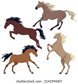 Equine coat color. Vector set horses shilouettes.