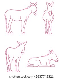 Equines Mule Equines Mule Equines Mule