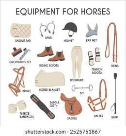 Equipment for horses infographic poster. Horse riding vector colored flat hand drawn icons. Equestrian equipment illustrations in trendy modern style. Equine sports tack. Yard ammunition card.