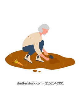 Equipped farmer woman harvesting biological carrots. Farming and ecological agriculture activity cartoon vector illustration