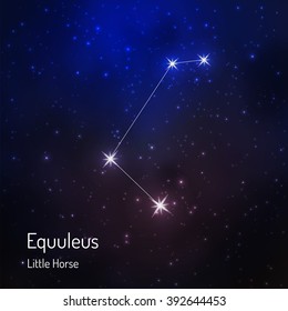 Equuleus (Little Horse) Constellation In The Night Starry Sky. Vector Illustration