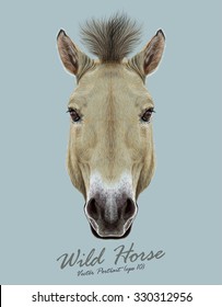 Equus ferus Przewalski horse animal cute face. Vector beautiful Asian, Mongolian Przewalski's wild horse head portrait. Realistic fur portrait of brown mare isolated on gray background.