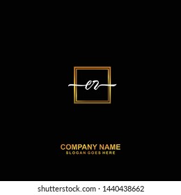 ER Initial handwriting logo template vector