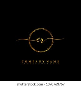 ER Initial luxury handwriting logo vector