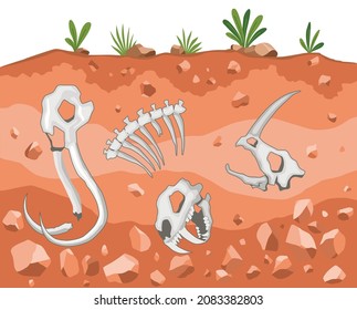 Era of Earth history. Fossil dinosaurs, elements for paleontology and archeology works. Scene with various animals bones in soil layer. Vector old dino skeletons buried underground