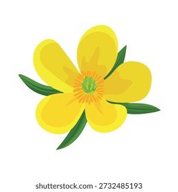 Eranthis hyemalis flower. Flat vector clipart, illustration with isolated background.