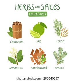 erbs and spices collection 4. For essential oils, ayurvedic medicine