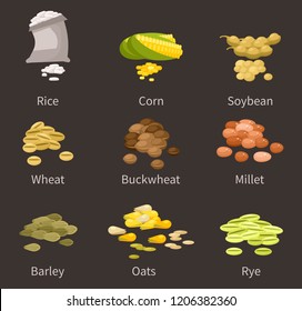  ereals and legumes of various agricultural types of culture. Barley and wheat, rice and buckwheat, millet and pea, chickpea. Grain and beans.