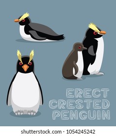 Erect-Crested Penguin Cartoon Vector Illustration