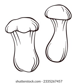 Eringi king oyster mushroom hand drawn sketch. Mushroom vector illustration isolated on a white background. Great for packaging design, menu, logo, recipe. Engraved style.