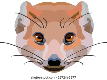 Ermine. The face of a wild animal is depicted in vector style. Bright image. Logo, illustration isolated on white background.