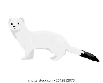 Ermine com pele branca de inverno. Animais selvagens do Ártico. Mustela erminea. Animal vetorial realista