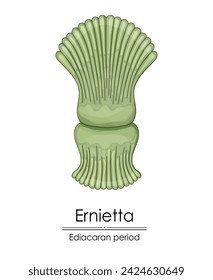 Ernietta, an Ediacaran period creature, colorful illustration on a white background, representing early life on Earth.