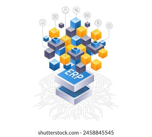 ERP network business developer infographic 3d illustration flat isometric