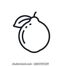 Ertog fruit outline icon on white beckground.