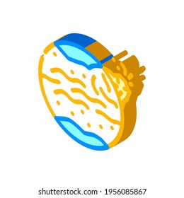 Eruption auf anderen Planeten isometrischen Icon Vektorgrafik. Eruption auf anderen Planeten-Schildern. einzelne Symbolillustration