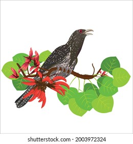 Erythrina variegata (Erabadu) flowers and Asian koel (koha) vector illustration
