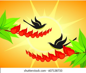 Erythrina variegata flowers and asian koel vector illustration. The dawn of the Sinhala & Tamil New Year vector.