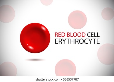 Erythrocyte. Red Blood Cell Logo. Vector Illustration