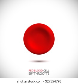 Erythrocyte. Red Blood Cell. Vector Illustration 