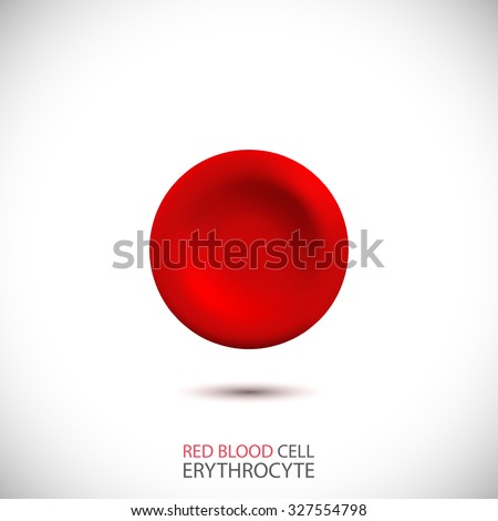 Erythrocyte. Red blood cell. Vector Illustration 