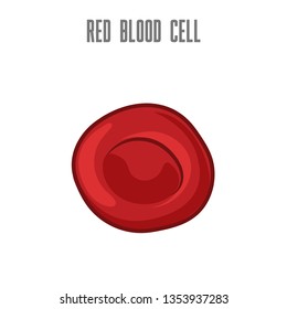 Erythrocyte. Vector isolated microscopic view cartoon image of Red Blood Cell. Сan be used in medical illustrations. Outside view of cell.