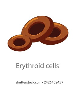 Erythroid cells. Diagram of common stem cell types. Science banner isolated on background. Medical microscopic molecular conception. Premium Illustration file svg