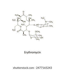 Erythromycin flat skeletal molecular structure Macrolide antibiotic drug used in bacterial infection treatment. Vector illustration scientific diagram.