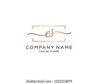 ES handwriting initial  logo vector