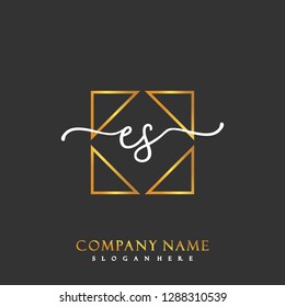 ES Initial Handwriting logo template vector