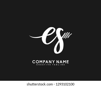 ES Initial Handwriting Logo Template Vector