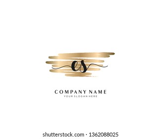 ES initial handwriting logo template vector