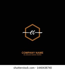 ES Initial handwriting logo template vector