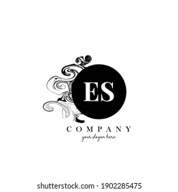 ES Initial Letter Logo Design with Ink Cloud Flowing Texture Vector.