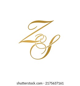 ES initial logo design vector stock