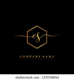 ES Initial luxury handwriting logo vector