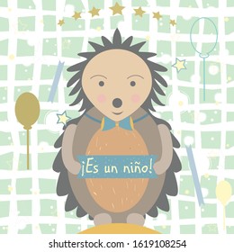 "Es un nino" means "It's a boy" in Spanish Language. Baby Boy Birth announcement. Cute Hedgehog announces the arrival of a baby boy. From Baby Shower Collection. Vector Illustration.