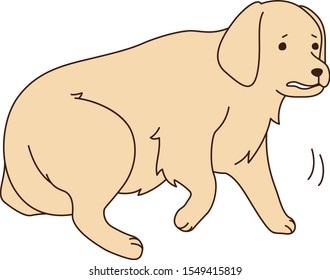 Escape golden retriever vector illust