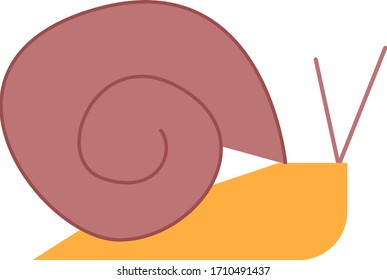 escargot animal vector illustration icon flat design