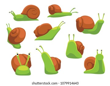 Escargot Snail Helix Cartoon Vector Illustration