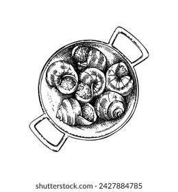 Escargot vintage drawing. Traditional food from France sketch. French restaurant menu design. Edible snails  Hand-drawn food illustration, NOT AI generated