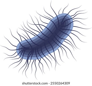 Bacteria Escherichia Coli o ilustración de E. Coli aislada sobre fondo blanco	