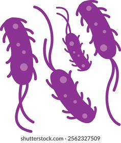 Escherichia Coli Bacteria or E. Coli Illustration