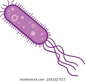 Escherichia Coli Bacteria or E. Coli Illustration