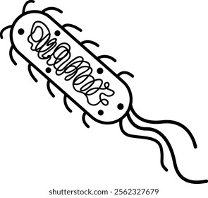 Escherichia Coli Bacteria or E. Coli Illustration Outline